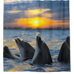 Bottlenose dolphins, sunset ocean scene. shower curtain