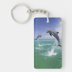 Bottlenose Dolphins Tursiops truncatus Key Ring