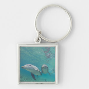 Bottlenose Dolphins Tursiops truncatus Key Ring