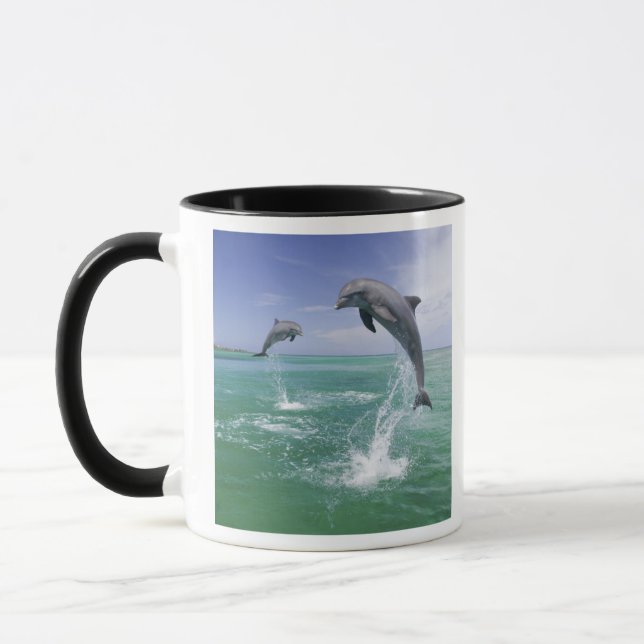 Bottlenose Dolphins Tursiops truncatus Mug (Left)