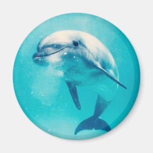 Bottlenosed Dolphin Underwater Magnet