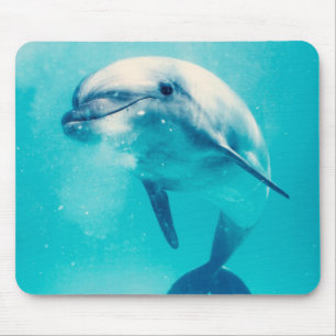 Bottlenosed Dolphin Underwater Mouse Pad