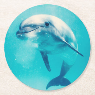 Bottlenosed Dolphin Underwater Round Paper Coaster