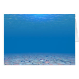 Bottom of The Sea