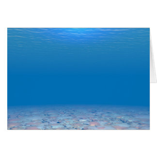 Bottom of The Sea