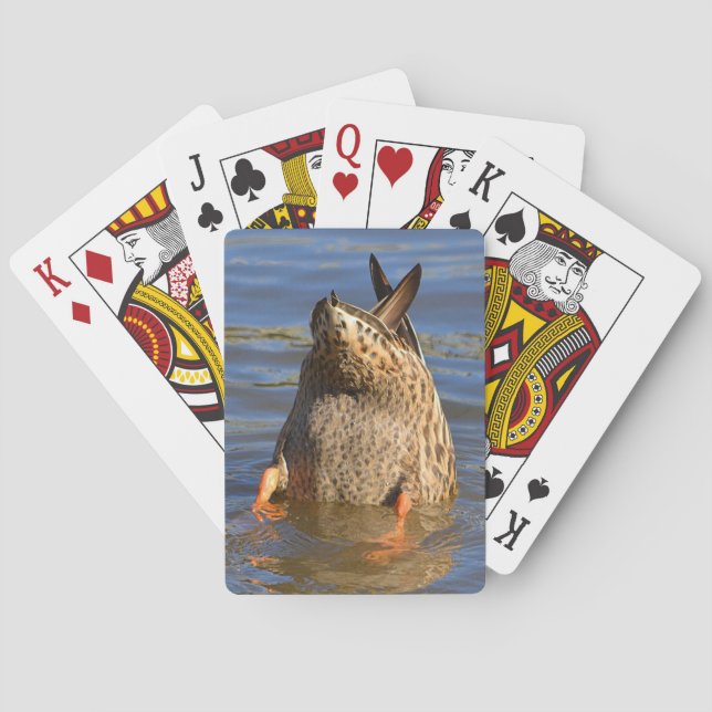 Bottoms Up Playing Cards (Back)