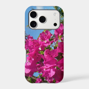 Bougainvillea and Palm Tree Tropical Nature Scene