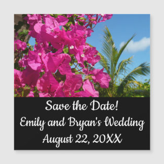 Bougainvillea and Palm Tree Tropical Nature Scene