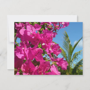 Bougainvillea and Palm Tree Tropical Nature Scene Card