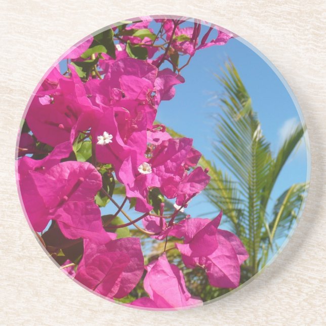 Bougainvillea and Palm Tree Tropical Nature Scene Coaster (Front)