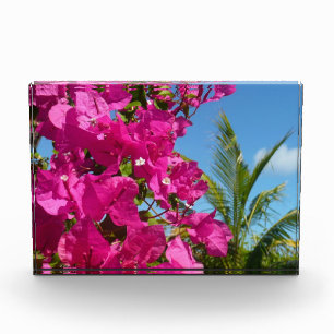 Bougainvillea and Palm Tree Tropical Nature Scene Photo Block