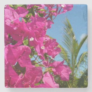 Bougainvillea and Palm Tree Tropical Nature Scene Stone Coaster