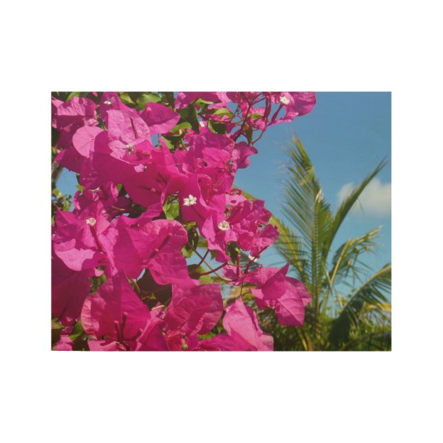 Bougainvillea and Palm Tree Tropical Nature Scene Wood Poster (Front)