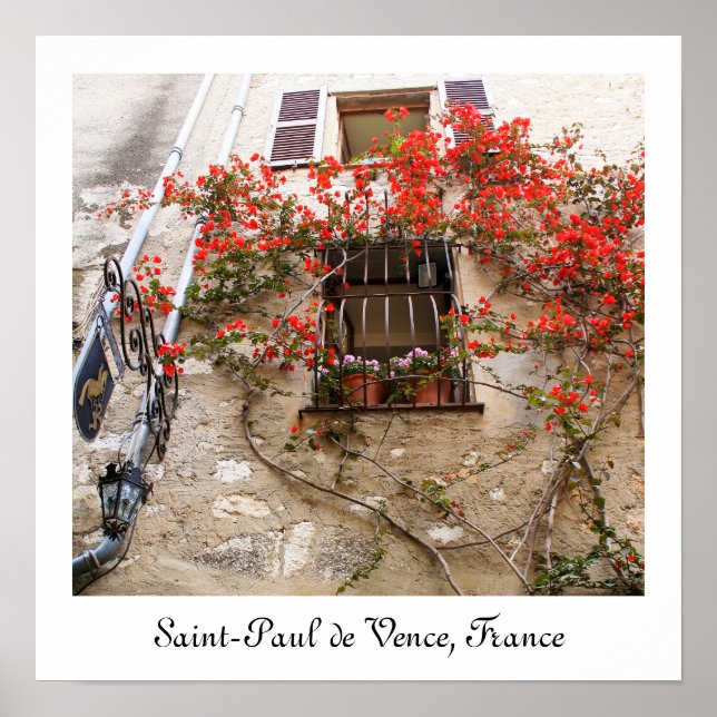 Bougainvillea at Window Poster (Front)