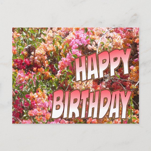 Bougainvillea Birthday Postcard Pink (Front)