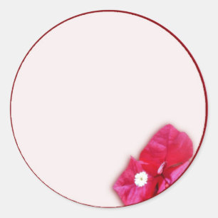 Bougainvillea Blossom Classic Round Sticker