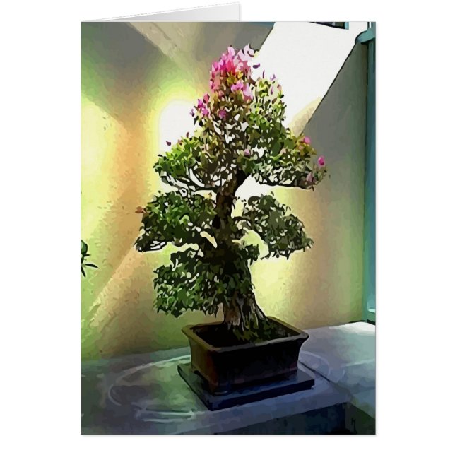 Bougainvillea Bonsai Tree (Front)