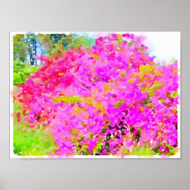 Bougainvillea bush,watercolor painting poster (Front)