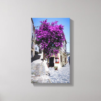 Bougainvillea Canvas Print