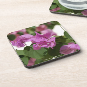 Bougainvillea Coaster