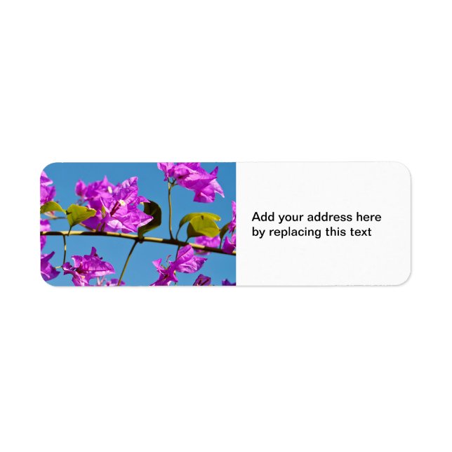 Bougainvillea Flowers (Front)