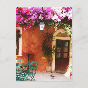 Bougainvillea growing outside a house, Mykonos, Gr Postcard