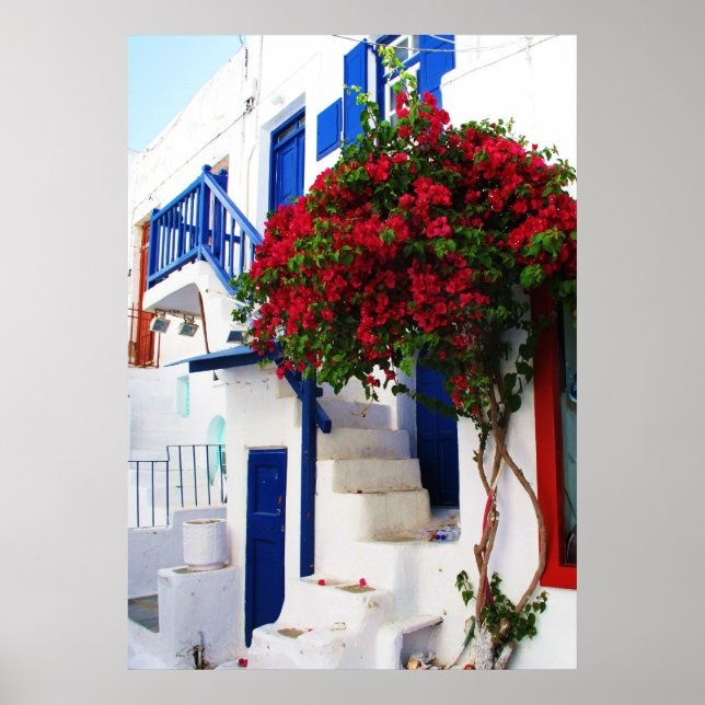 Bougainvillea  outside a house, Greece  POSTER (Front)