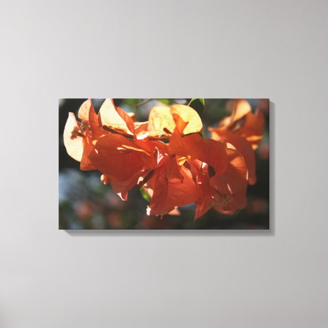 Bougainvillea (Peach Closeup) Canvas Print (Front)