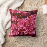 Bougainvillea Pink Tropical Vining Shrub Photo