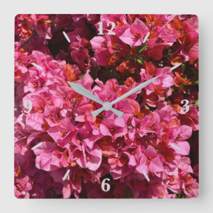 Bougainvillea Pink Tropical Vining Shrub Photo Square Wall Clock