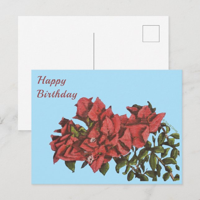 Bougainvillea Postcard (Front/Back)