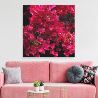 Bougainvillea Red Tropical Vining Shrub Photo