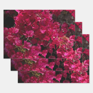 Bougainvillea Red Tropical Vining Shrub Photo  Wrapping Paper Sheet