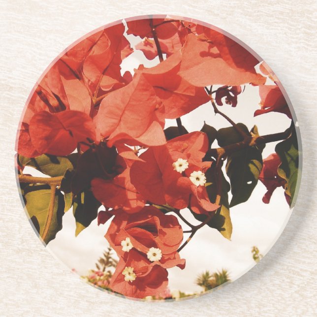 Bouganvillia Coaster (Front)