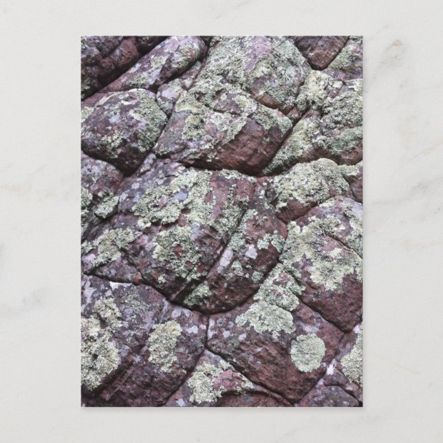 Bouldered Rocks with Lichen Moss Postcard (Front)