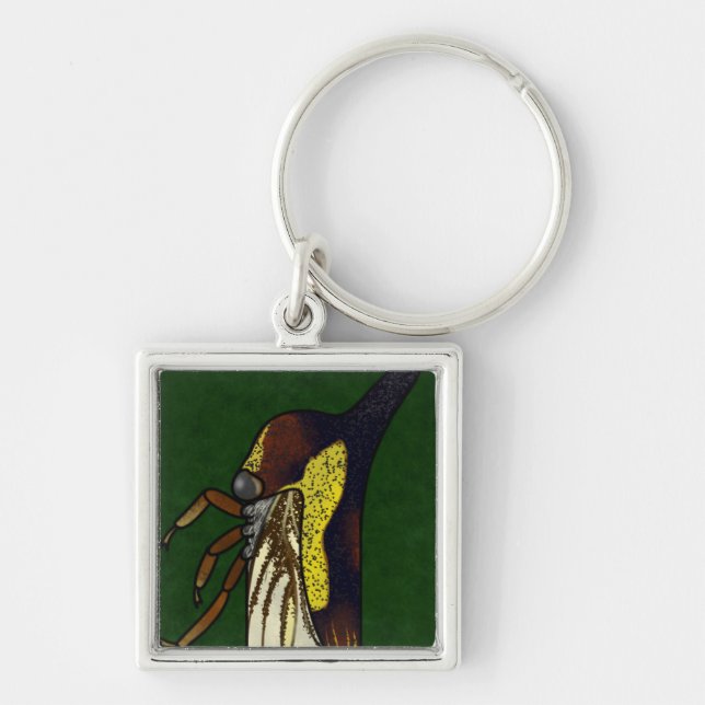 bouman651 Tree hoppers Thelia bimaculata (テングツノゼミ) Key Ring (Front)