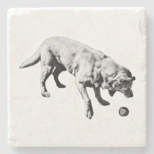 Bounce & Bite Stone Coaster