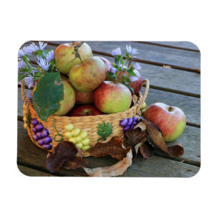 Bountiful Harvest Basket of Delicious Apples Magnet