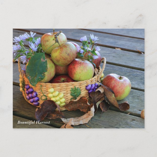 Bountiful Harvest Postcard (Front)