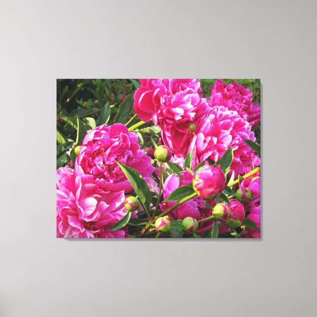 Bountiful peonies canvas print (Front)