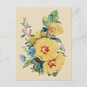 Bouquet - Hibiscus Postcard