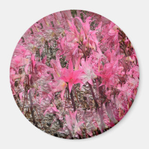 Bouquet of Amaryllis.....  Magnet