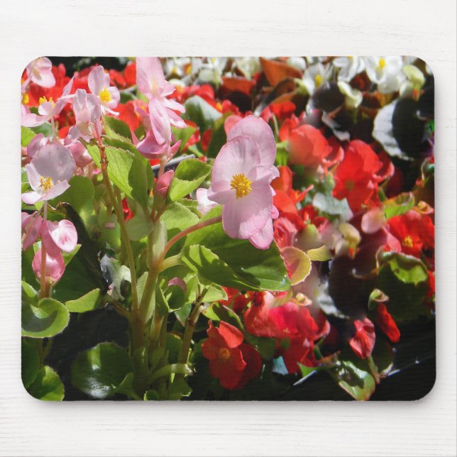 Bouquet of Begonias... Mouse Pad (Front)