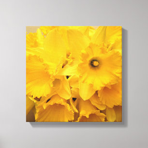 Bouquet of Daffodils Canvas Print