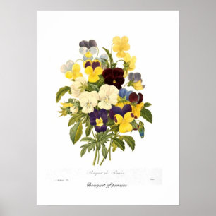 Bouquet of pansies poster