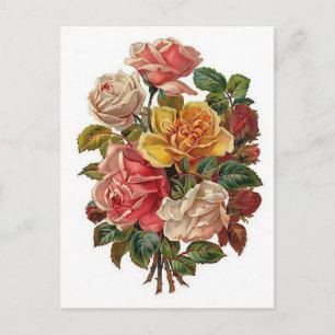 Bouquet of Roses Postcard