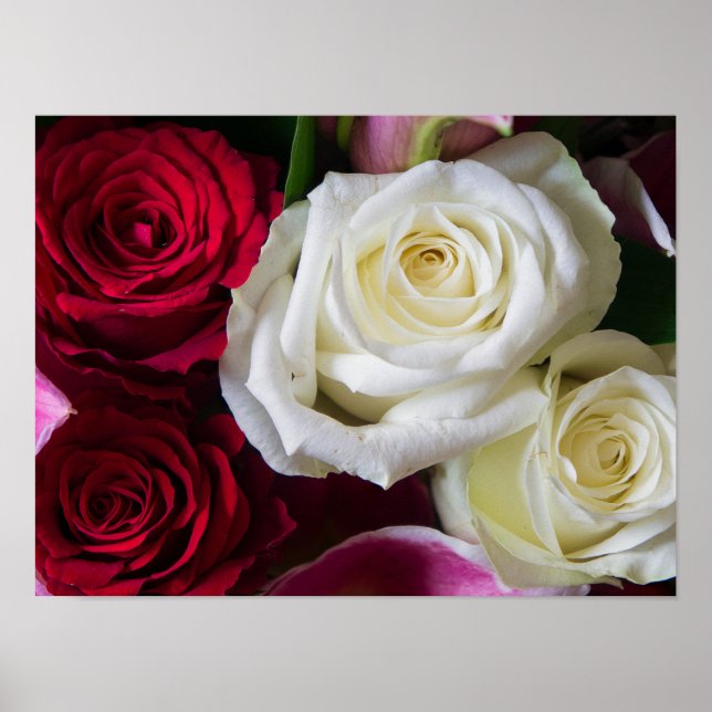 BOUQUET OF ROSES POSTER (Front)