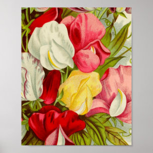 Bouquet of sweet pea flowers trivet poster