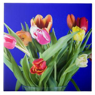 Bouquet of tulips on blue tile