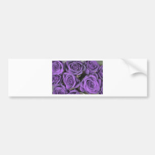 bouquet purple rose roses date rsvp bridal destiny bumper sticker